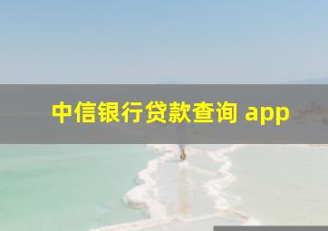 中信银行贷款查询 app